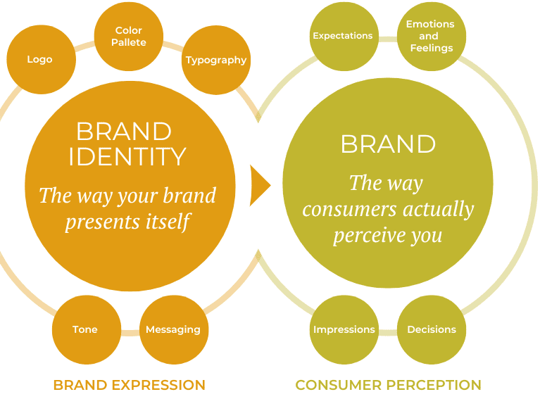 Branding & Identity Example